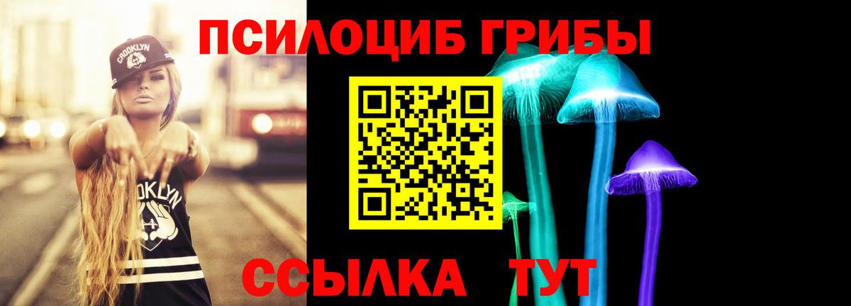 Галлюциногенные грибы GOLDEN TEACHER Сальск